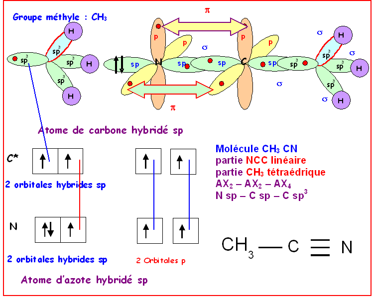 Le carbone digonal ou carbone sp — free download